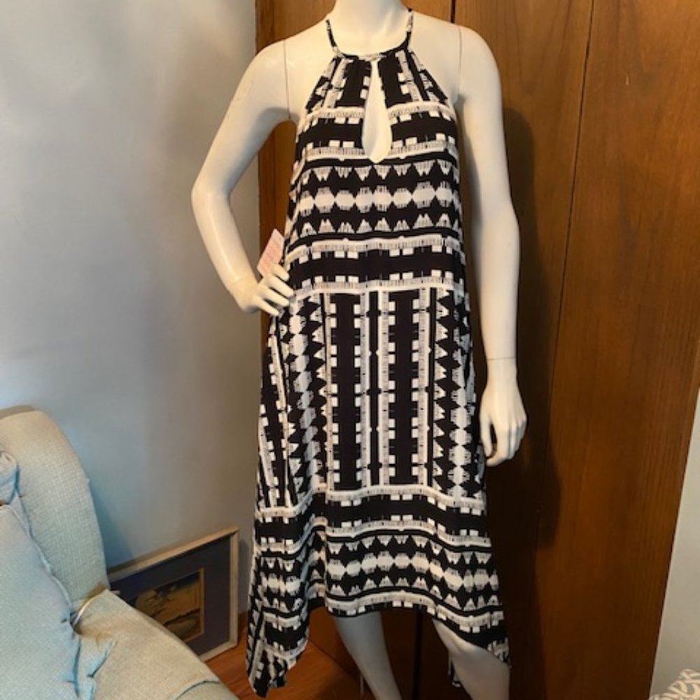 Summer Dress- Evereve